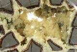 Calcite Crystal Filled, Polished Septarian Bear - Utah #231065-1